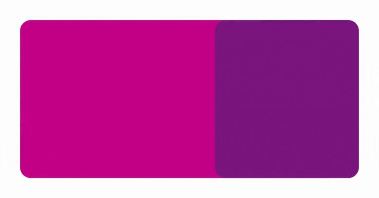 Dylan Rothenberg, photo 2