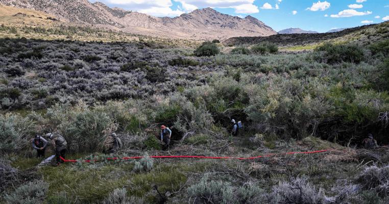 Steven Baloff, photo 1