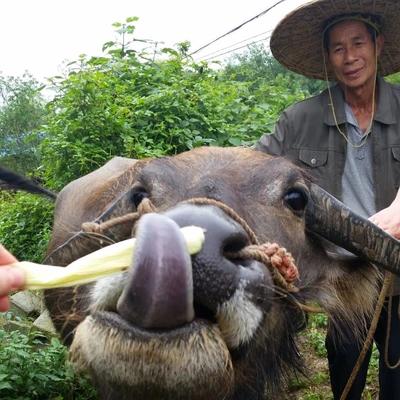 Rebecca Albert, photo 1