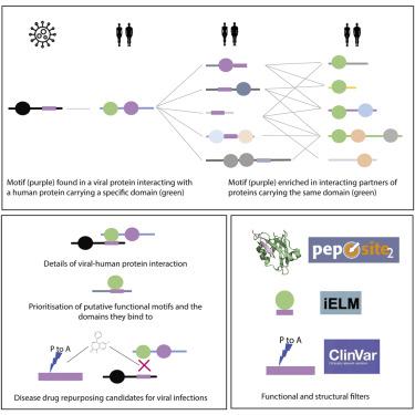 Gracie Arrowsmith, photo 2