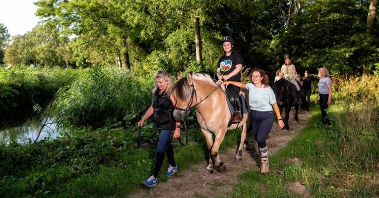 Xander Prins, photo 1