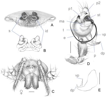 Paolo Monasterolo, photo 1