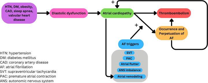 Drew Kochanowski, photo 2
