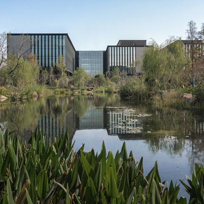 İnal Sinanoğlu, photo 2