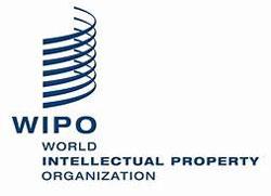 Delfina Guedimin, photo 2