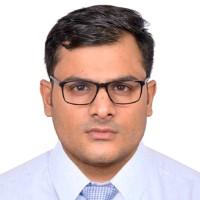 Dinesh Suthar, photo 2