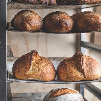 Bart-Jan Veldhuizen, photo 1