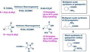 Heine Hoffman, photo 1