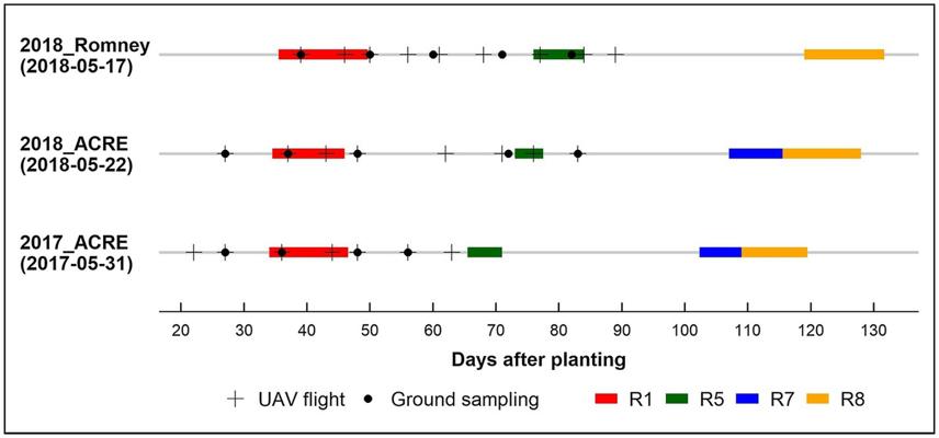 Johann R. Rodriguez, photo 2