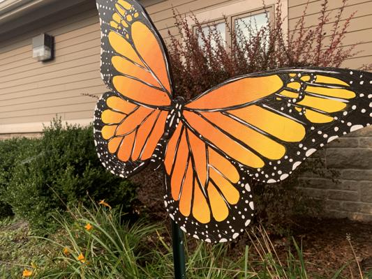 Anderson Bell, photo 1