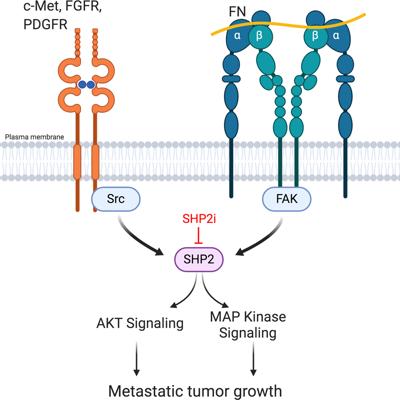 Arthur Hirota, photo 2