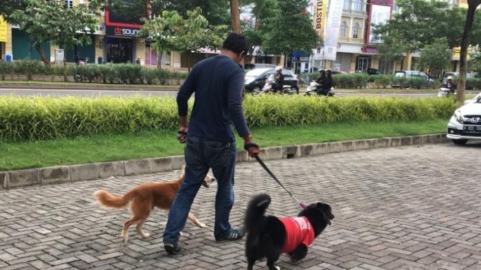 Indri Puteri, photo 1