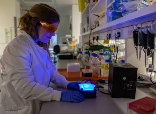 Dean Norgate, photo 1