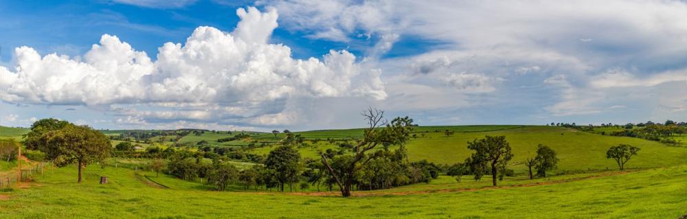 Marlo Menti, photo 2