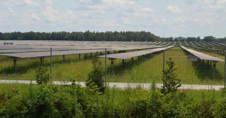 Mitch Davis, photo 1