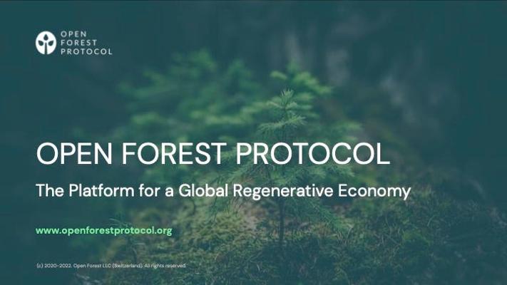 Radoslav Dragov, photo 2