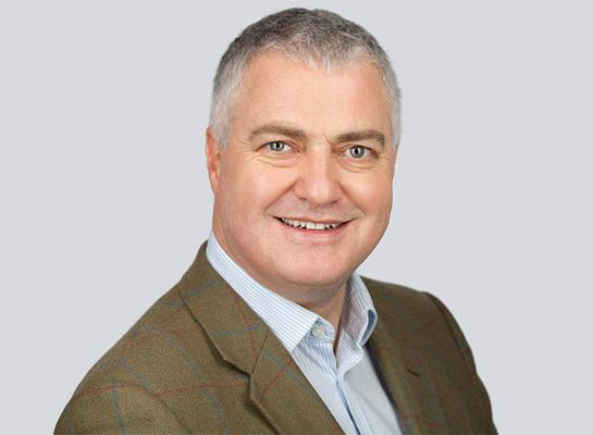 Phil Ingram, photo 1