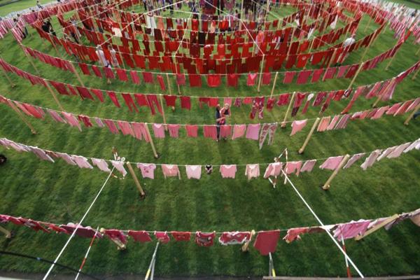 Pet van de Luijtgaarden, photo 1