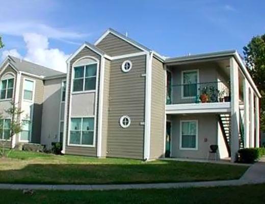 Tisha Vaidya, photo 1