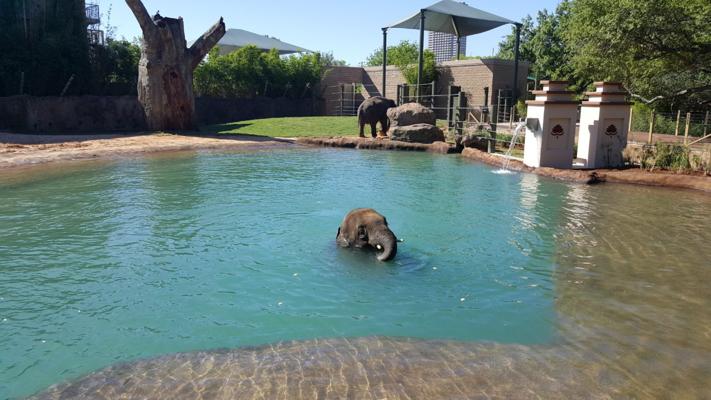 Bumpus Renee, photo 2