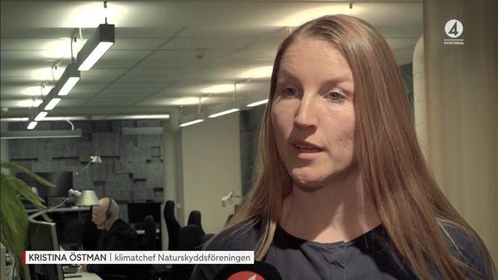 Michelle Poorte, photo 2