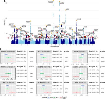 Joel Järvensivu, photo 2