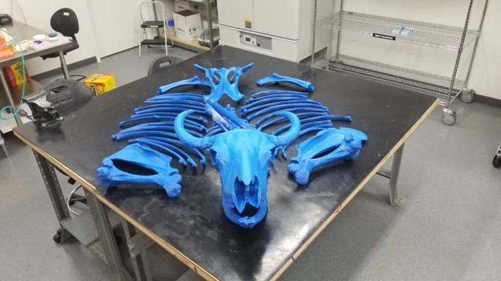 Shannon Walters, photo 2