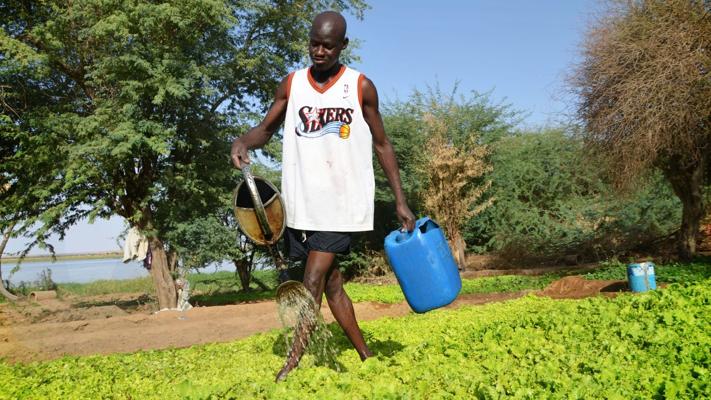 Cedric Charpentier, photo 1