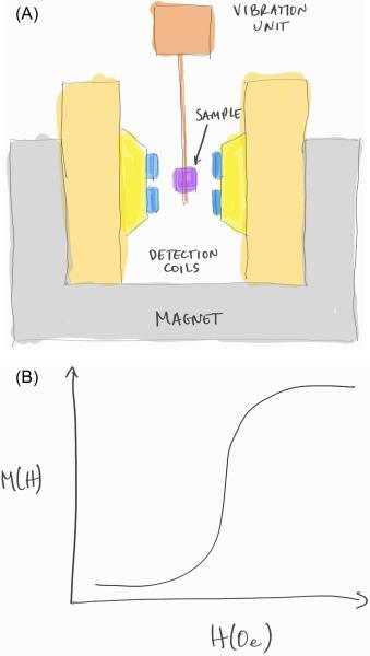 Jose Padovani, photo 2