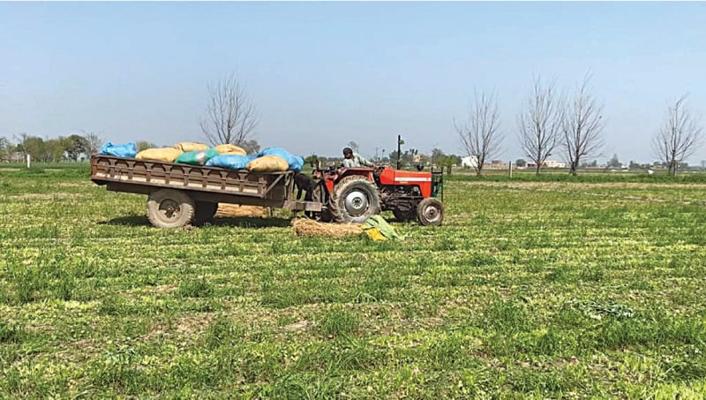 Ravi Genius, photo 1