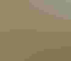 Zach Slavin, photo 2