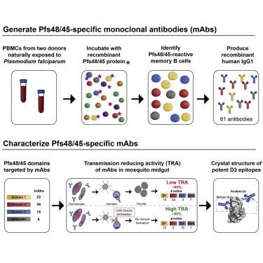 Bill Schoenmaker, photo 1