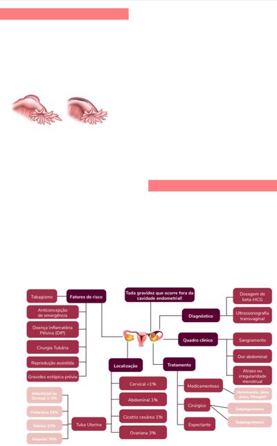 Dmitri Efetov, photo 2