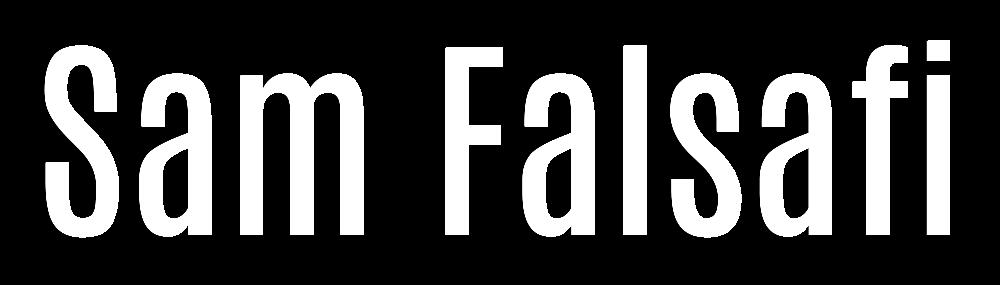 Sam Falsafi, photo 1