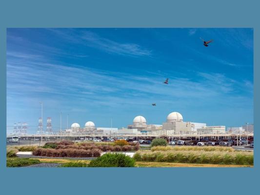 Majed Al Breiki, photo 2