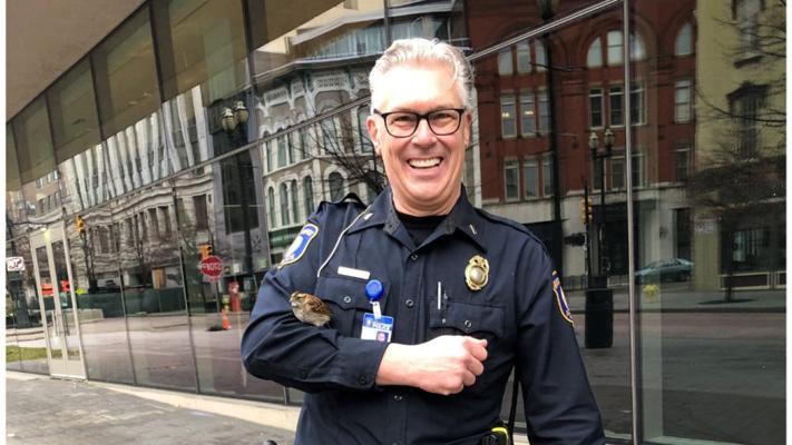 Patrick Merrill, photo 2