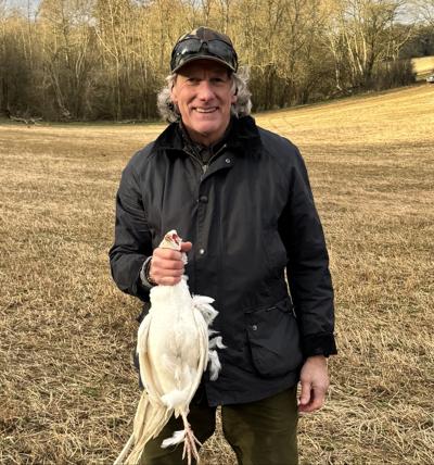 Mark Mordell, photo 2