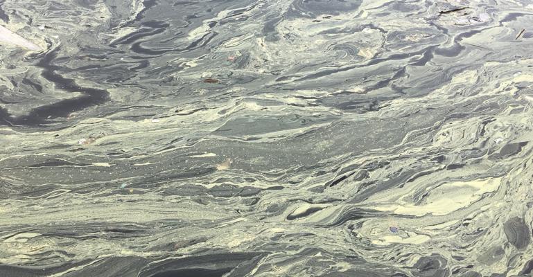 Ezra Weller, photo 2