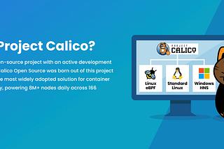 Armin Nikdel, photo 2