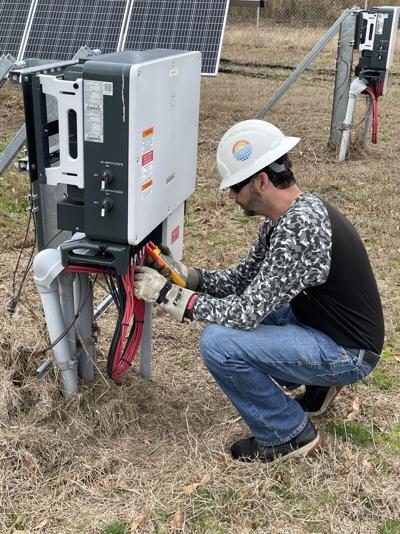 Shane Williams, photo 2