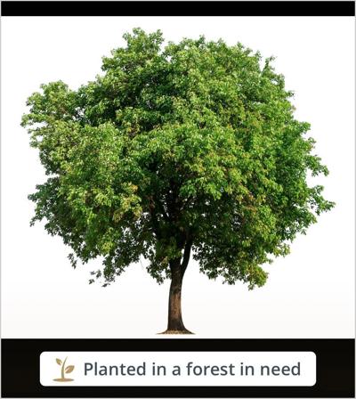 Maura McCaffrey, photo 2