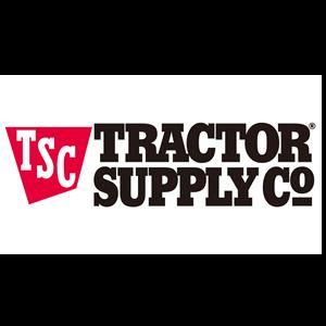 Lisa Traversari, photo 1