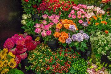 Scott Flower, photo 2