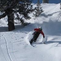 Asle Tangvik, photo 2