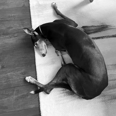 Peter Braunz, photo 1