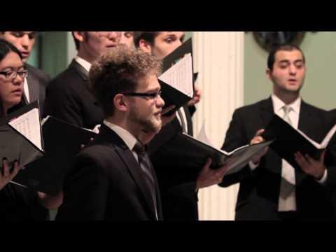 Ralph Affoumado, photo 2