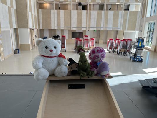 Teddy Driscoll, photo 1