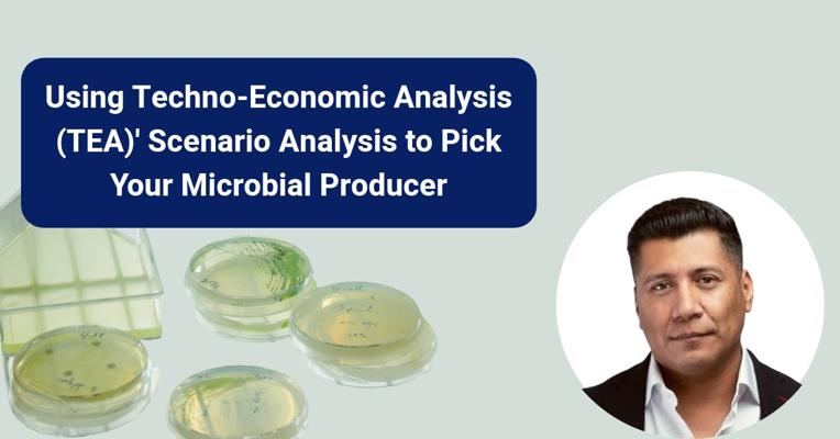 Gustavo Valente, photo 2