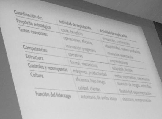 Núria Morella, photo 2