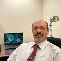 Mikhail Pozin, photo 2